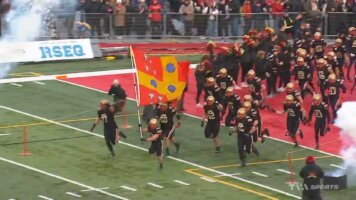 2025-11-01-mcg-vs-lav